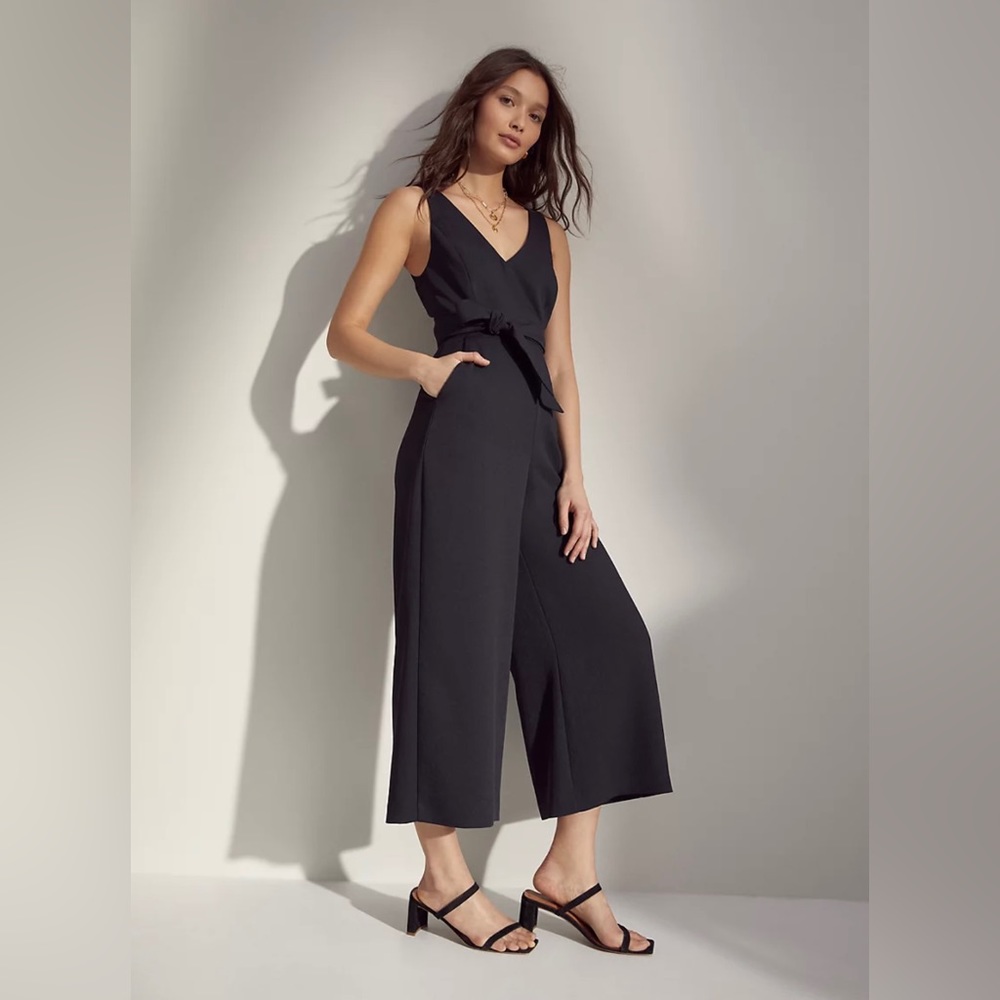 ARITZIA WILFRED Écoulement Jumpsuit V-Neck